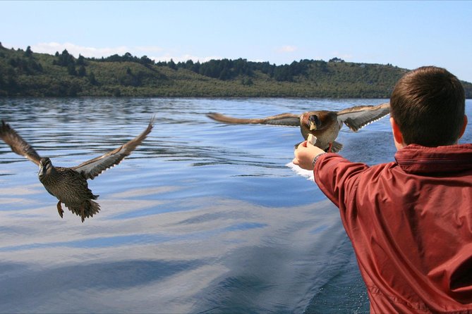 Daily Scenic Maori Rock Carving Cruise Taupo - Price and What You Get for $36.61