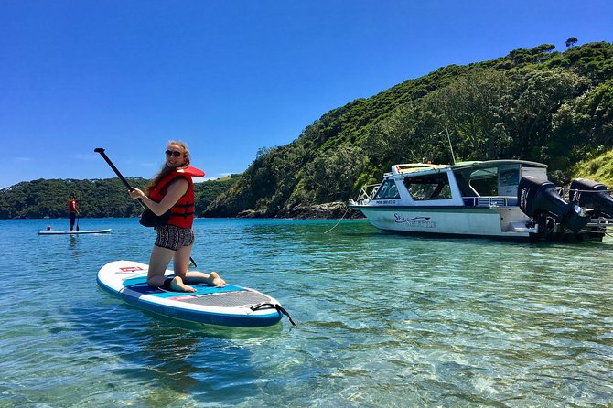 Day Cruise & Island Tour - Snorkel/Wildlife/Paddleboard/Islands - The 3.5-hour flow: how the day is paced from Paihia