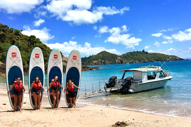 Day Cruise & Island Tour - Snorkel/Wildlife/Paddleboard/Islands - The crew vibe: local stories plus practical help