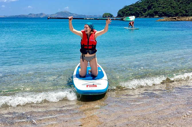 Day Cruise & Island Tour - Snorkel/Wildlife/Paddleboard/Islands - Best match: who should book this Bay of Islands cruise