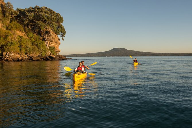 Day sea kayak tour Rangitoto Island - Key takeaways before you go