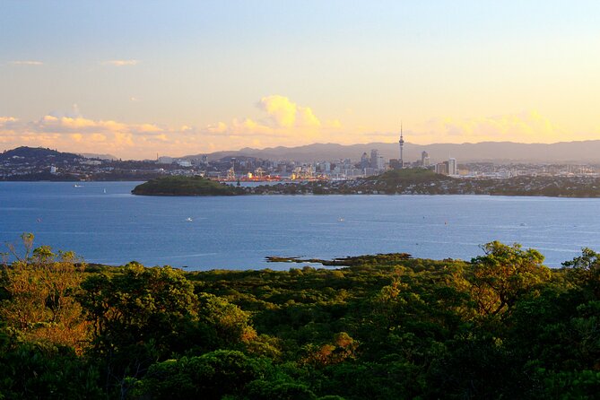 Day sea kayak tour Rangitoto Island - Sea kayaking Rangitoto: what makes this Auckland day different