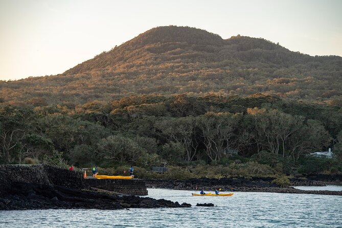 Day sea kayak tour Rangitoto Island - Rangitoto landing and the summit trek: the part people remember