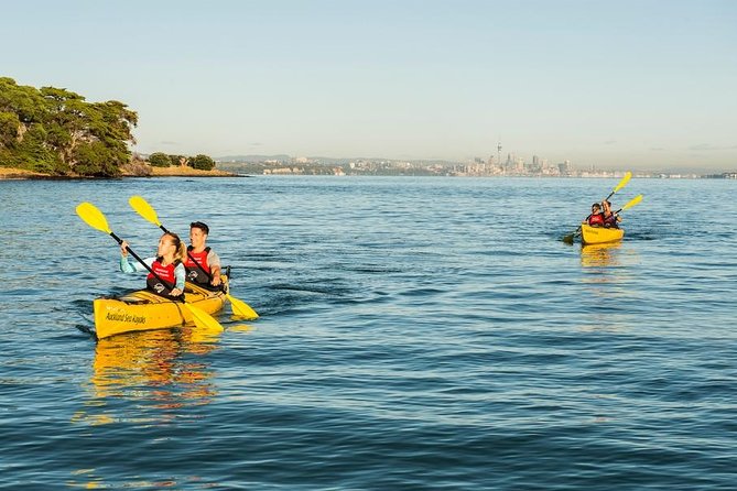Day sea kayak tour Rangitoto Island - Weather, safety, and how guides adapt