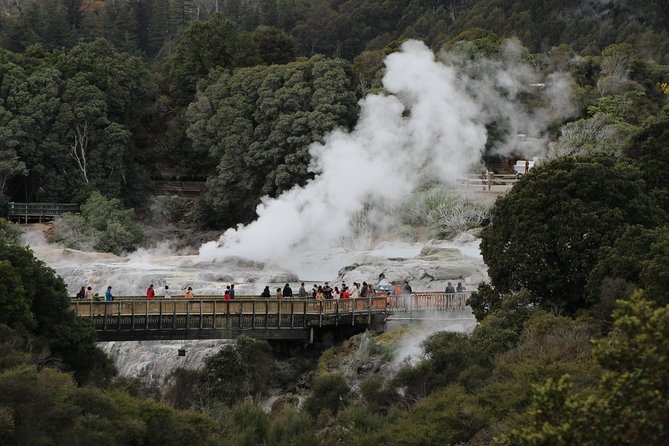 Day Tour Hobbiton + Rotorua from Auckland in Luxury Minibus - Small-group luxury: what “up to 12” really means on a long day