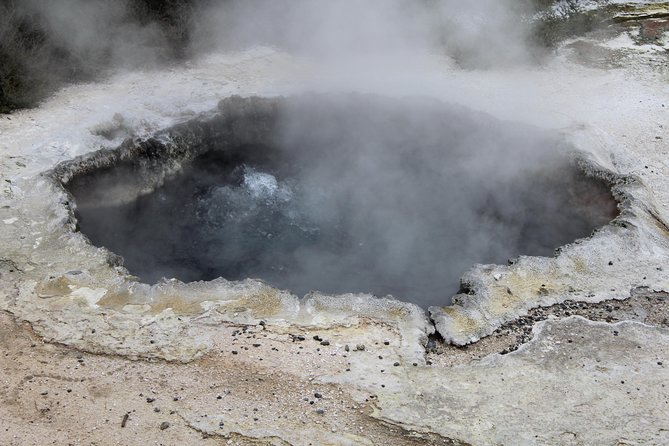 Day Tour Hobbiton + Rotorua from Auckland in Luxury Minibus - The price: what $312.77 buys when you add it all up