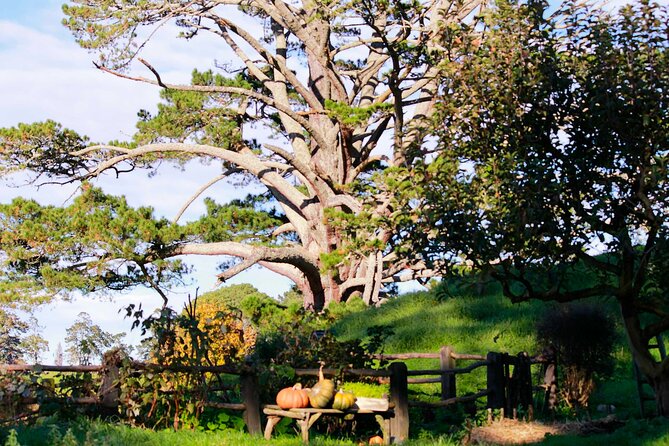 Day Tour Hobbiton + Rotorua from Auckland in Luxury Minibus - Should you book this Hobbiton and Rotorua day tour?