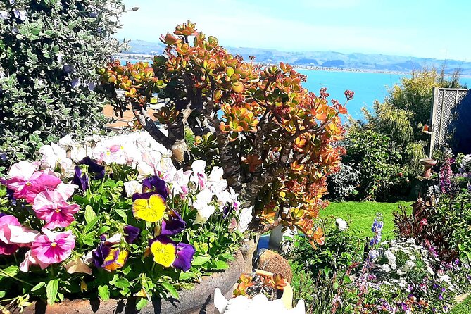 Deco Napier, Te Mata Peak, Garden Walk and Wine Tasting Tour - Te Mata Peak: the quick climb to big views