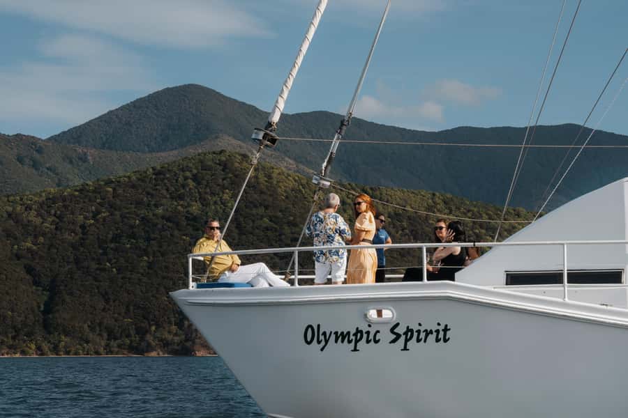 Depart Picton: Marlborough Sounds Afternoon Seafood Cruise - Key Highlights to Know Before You Go