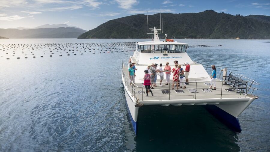 Depart Picton: Marlborough Sounds Afternoon Seafood Cruise - Should You Book This Marlborough Sounds Seafood Cruise?