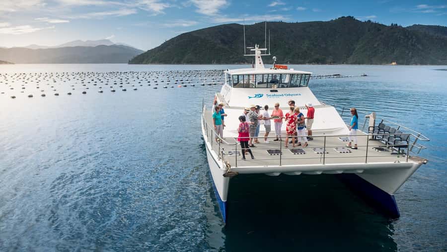 Depart Picton: Marlborough Sounds Afternoon Seafood Cruise - Marine Farming 101: Aquaculture in the Marlborough Sounds