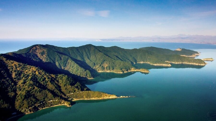 Depart Picton: Marlborough Sounds Afternoon Seafood Cruise - Crew and Commentary: Friendly People, But Pick Your Seat