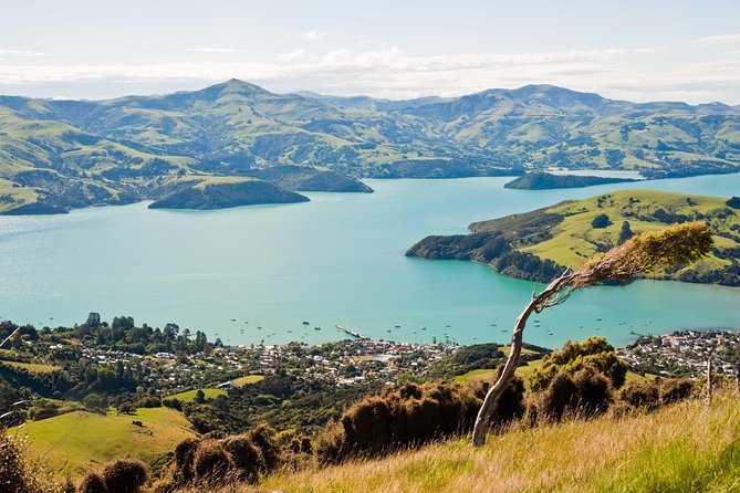 Discover Akaroa: Self Guided Audio Tour - Key highlights to know before you go