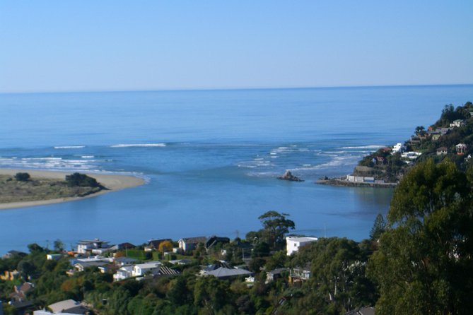 Discover Christchurch Sightseeing Tour - Getting there: pickup, coach comfort, and a tight 3-hour flow