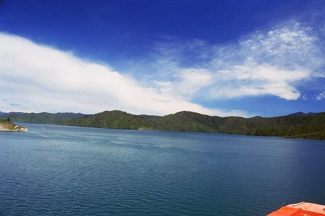 Discover Picton: Self-Guided Audio Tour - Why This Picton Audio Walk Works for 1 to 3 Hours