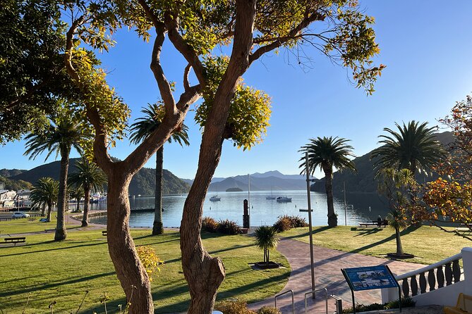 Discover Picton: Self-Guided Audio Tour - Stop 1: Edwin Fox Maritime Museum and the 1853 Build Story