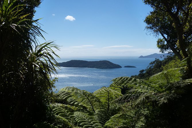 Discover Picton: Self-Guided Audio Tour - Stop 3: War Memorial and the Picton Foreshore’s Remembrance Arch