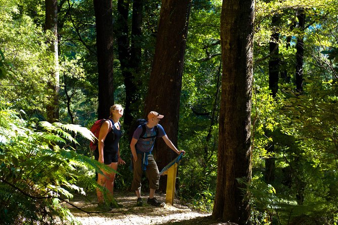Discover Picton: Self-Guided Audio Tour - How to Walk It Smoothly Without Feeling Lost