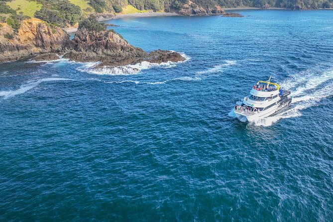 Discover the Bay - Hole in the Rock cruise includes Island Lunch - Hole in the Rock, dolphins, and an island lunch in one half day