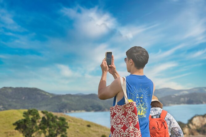 Discover the Bay - Hole in the Rock cruise includes Island Lunch - Practical tips for families, seasick folks, and first-timers