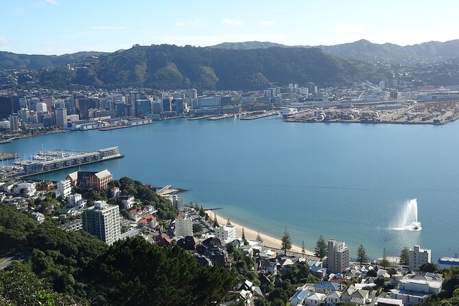 Discover Wellington 3 hour City Tour - Key Highlights You’ll Care About