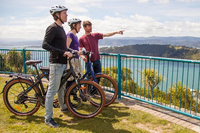 Discover Wellington 3 hour City Tour - Miramar Photo Stop and Wellington’s Film Story