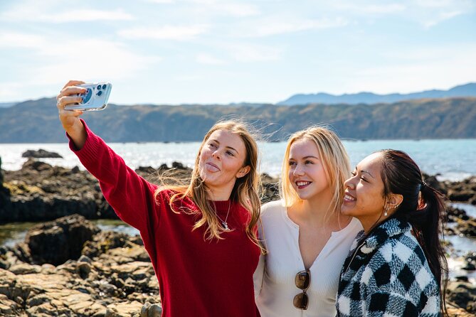 Discover Wellington 3 hour City Tour - Under the Airport Runway and a Bay Full of Surfers