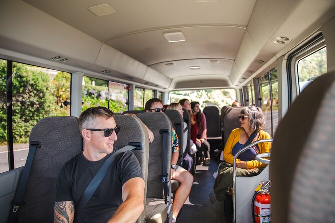 Discover Wellington 3 hour City Tour - Mt Victoria Lookout: Your Best Chance for the Classic City View