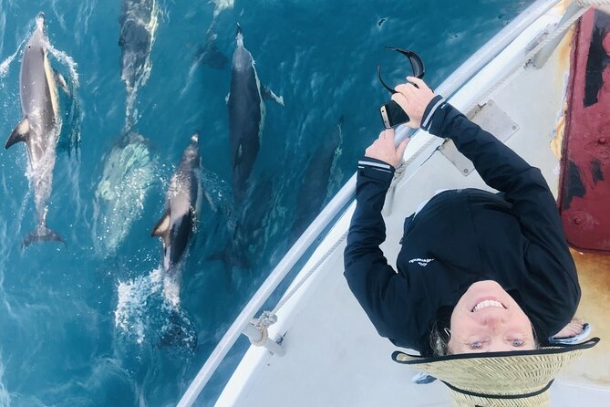 Dolphin & Wildlife Encounters - Tauranga’s half-day dolphin and wildlife cruise, in plain English
