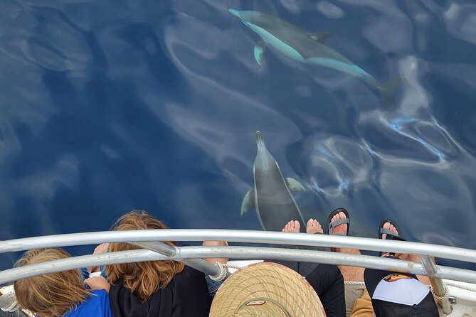 Dolphin & Wildlife Encounters - Price and value: is $108.60 per person worth it?