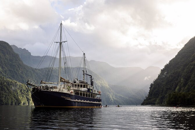 Doubtful Sound Overnight Cruise - Key highlights worth planning around