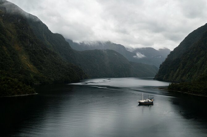 Doubtful Sound Overnight Cruise - Cruise day one: anchor time, kayaking chances, and the wildlife lesson