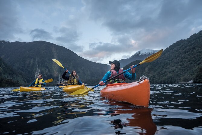 Doubtful Sound Overnight Cruise - The Sound of Silence moment: why the quiet stop hits hard
