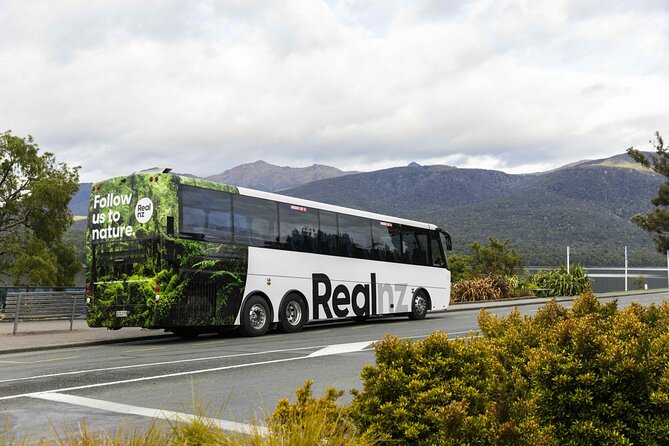 Doubtful Sound Wilderness Cruise from Queenstown - Price and value: what $287.95 buys, and what you still need