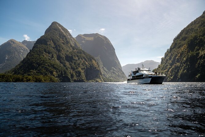 Doubtful Sound Wilderness Day Cruise from Manapouri - Key Points Before You Go