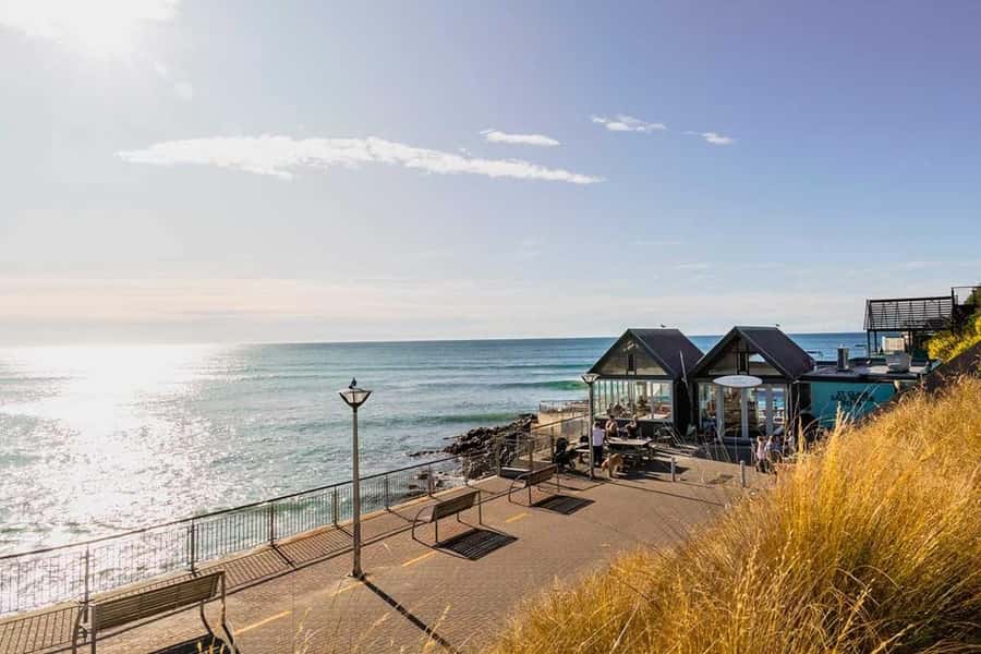 Dunedin: 3 Hour Artisan Food Walking Tour - Oldest fish and chips, plus what to order for the full experience