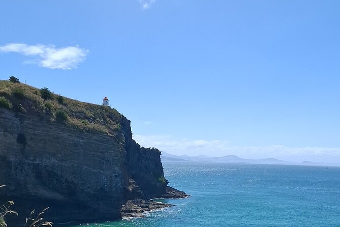 Dunedin and Otago Peninsula Private Tours Up to 4 people - Key points worth planning around