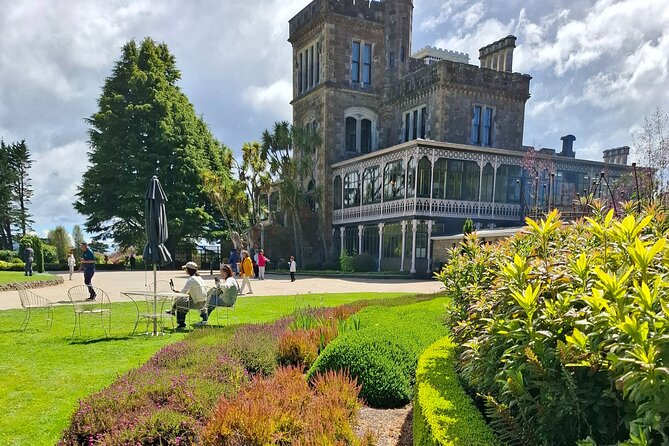 Dunedin and Otago Peninsula Private Tours Up to 4 people - Private-sized Dunedin and Otago Peninsula day, up to 4 people