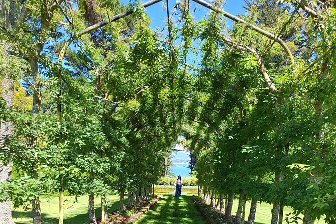 Dunedin and Otago Peninsula Private Tours Up to 4 people - Getting the day to flow: pickup, timing, and pace