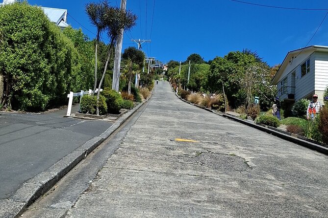 Dunedin and Otago Peninsula Private Tours Up to 4 people - City highlights first: Flagstaff, Mount Cargill, Signal Hill, and The Octagon