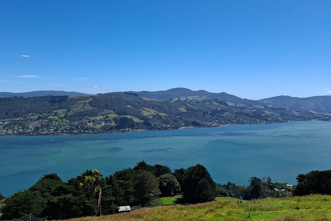Dunedin and Otago Peninsula Private Tours Up to 4 people - Baldwin Street to Sandfly Bay: the steep fun and the wild coastline