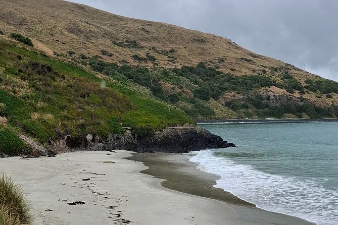 Dunedin and Otago Peninsula Private Tours Up to 4 people - Larnach Castle and Gardens: the one extra-cost stop that’s easy to plan