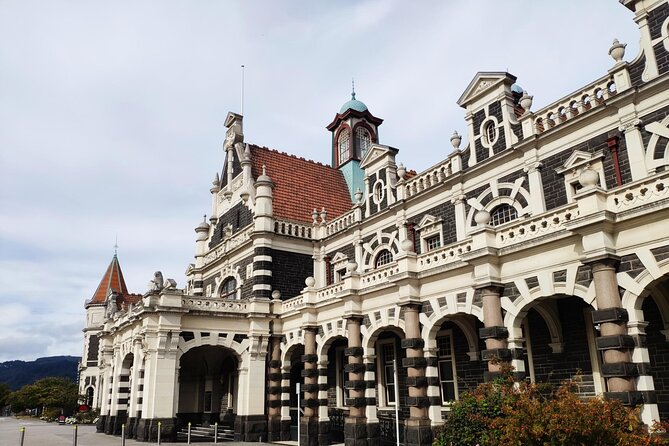 Dunedin City and Coastal Views 3-Hour Small-Group Guided Tour - Key highlights worth your attention