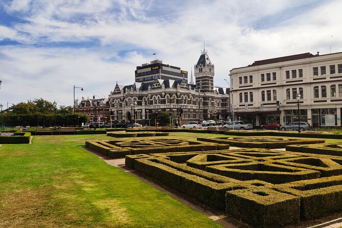 Dunedin City and Coastal Views 3-Hour Small-Group Guided Tour - Why this tour is a strong fit for Port Chalmers and cruise days