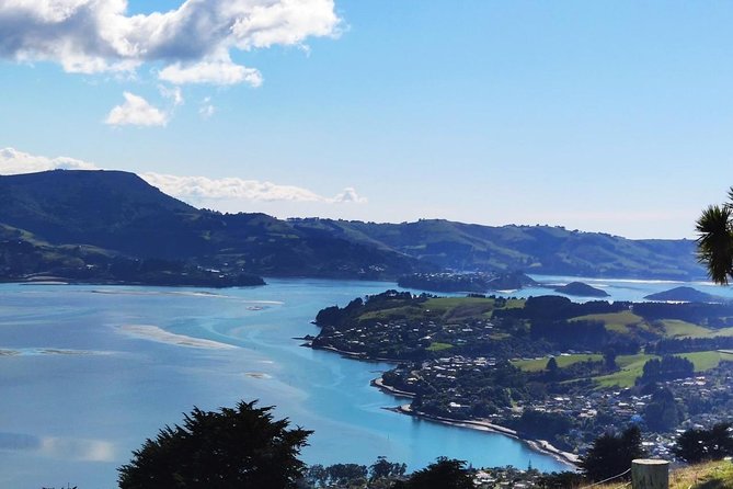 Dunedin City and Coastal Views 3-Hour Small-Group Guided Tour - St Clair Beach and the Otago Peninsula: where the camera work pays off