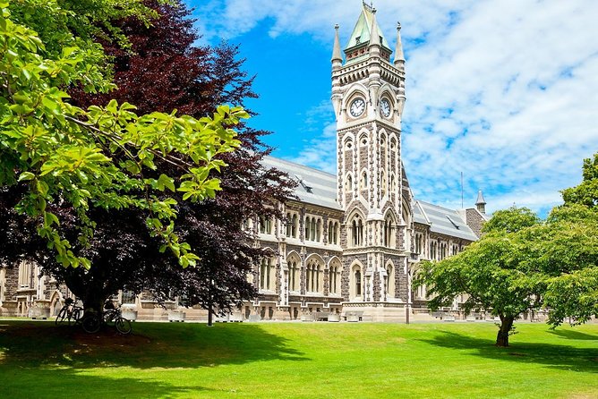 Dunedin City and Coastal Views 3-Hour Small-Group Guided Tour - Small coach comfort, air con reality, and why photo stops matter