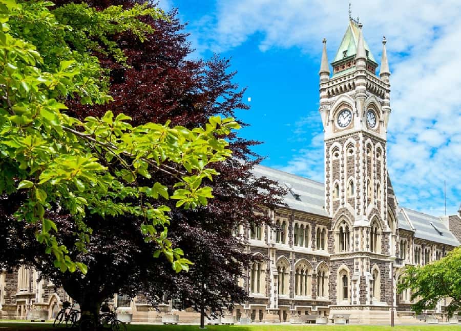 Dunedin City & Coastal Views 3-Hour Small-Group Tour - Key Points to Know Before You Go