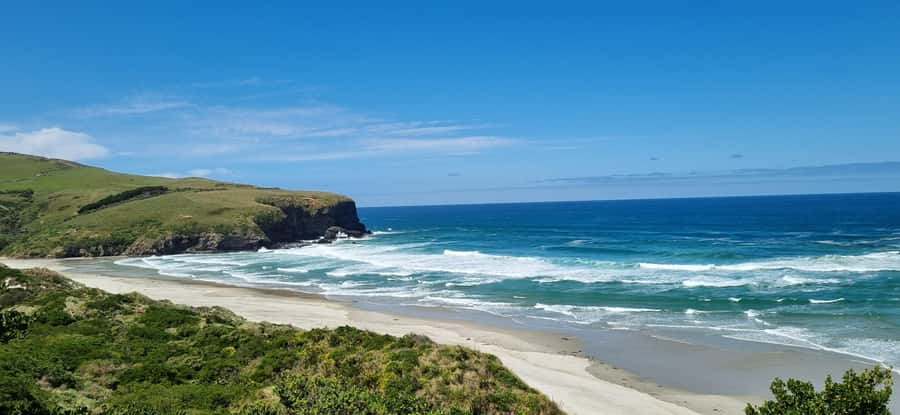 Dunedin City & Coastal Views 3-Hour Small-Group Tour - Saint Clair Beach, A Classic Dunedin Coast Stop