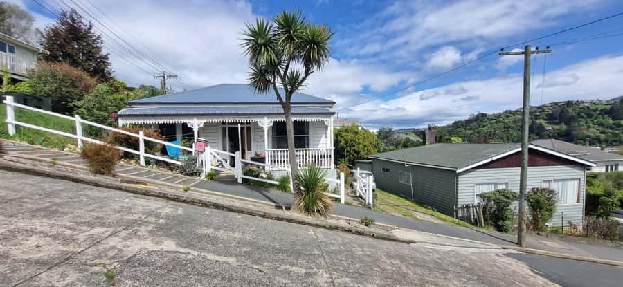 Dunedin City & Coastal Views 3-Hour Small-Group Tour - Picking Up in Dunedin or Port Chalmers, Then Settling In