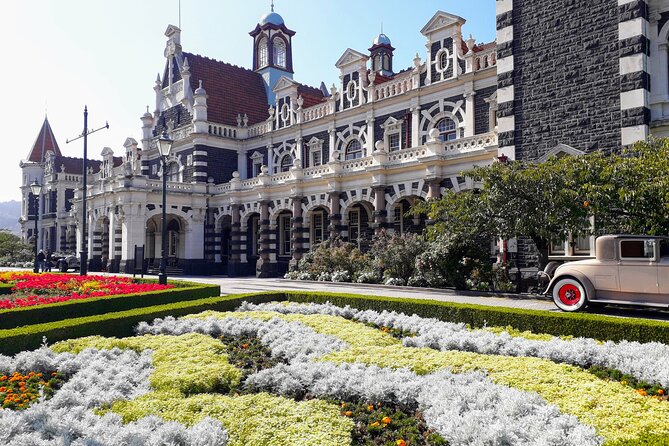 Dunedin City Highlights, Otago Peninsula Scenery & a Guided Penguin Reserve Tour - Transportation Comfort: Mostly Fine, But Not One-Size-Fits-All